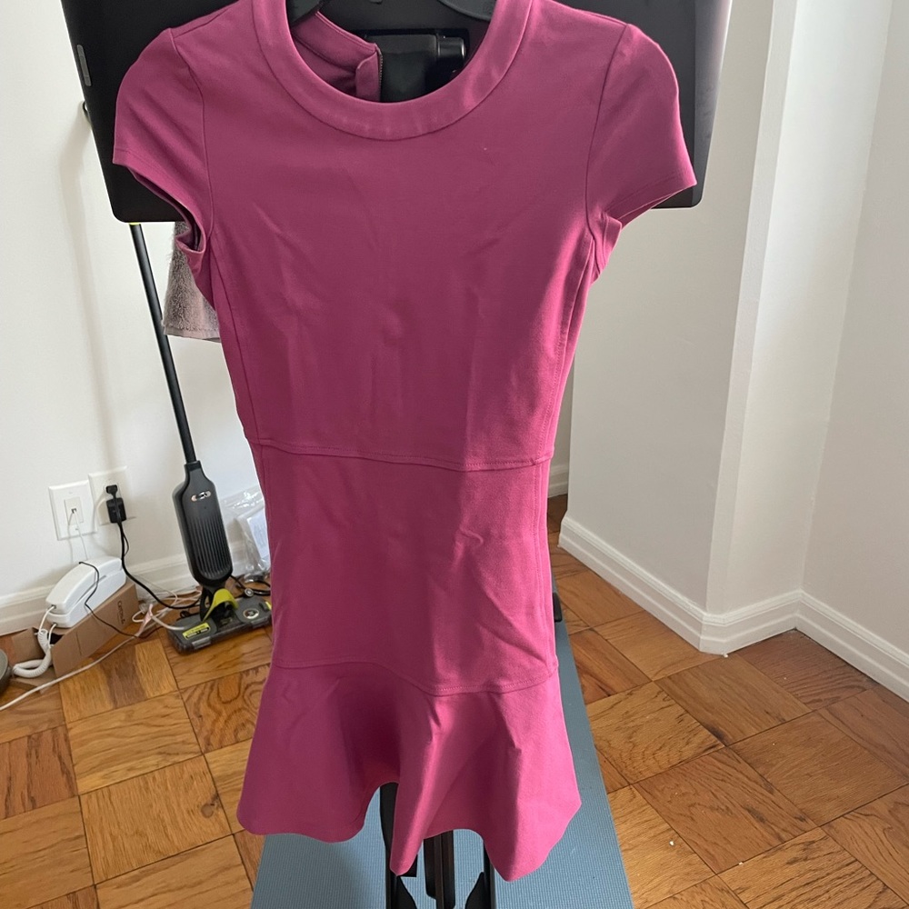 Aritzia- Sunday Best mini dress